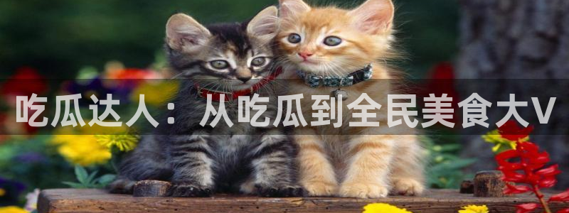 黑料免费:吃瓜达人:从吃瓜到全民美食大V