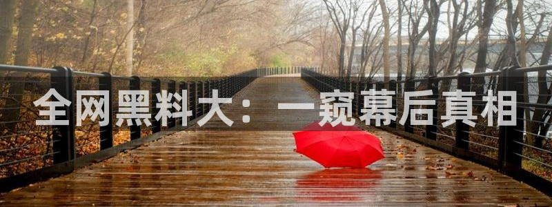 黑料揭秘:全网黑料大:一窥幕后真相