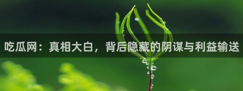 58吃瓜今日吃瓜入口:吃瓜网:真相大白,背后隐藏的阴谋与利益输送